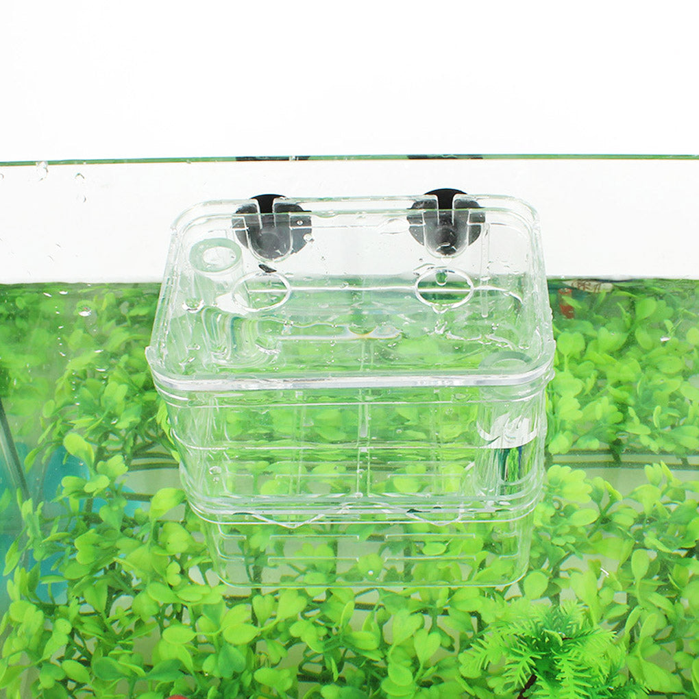 Aquarium Fish Breeder Box High Clear Double Hatching Incubator Hatchery Isolator Breeding Isolation Box