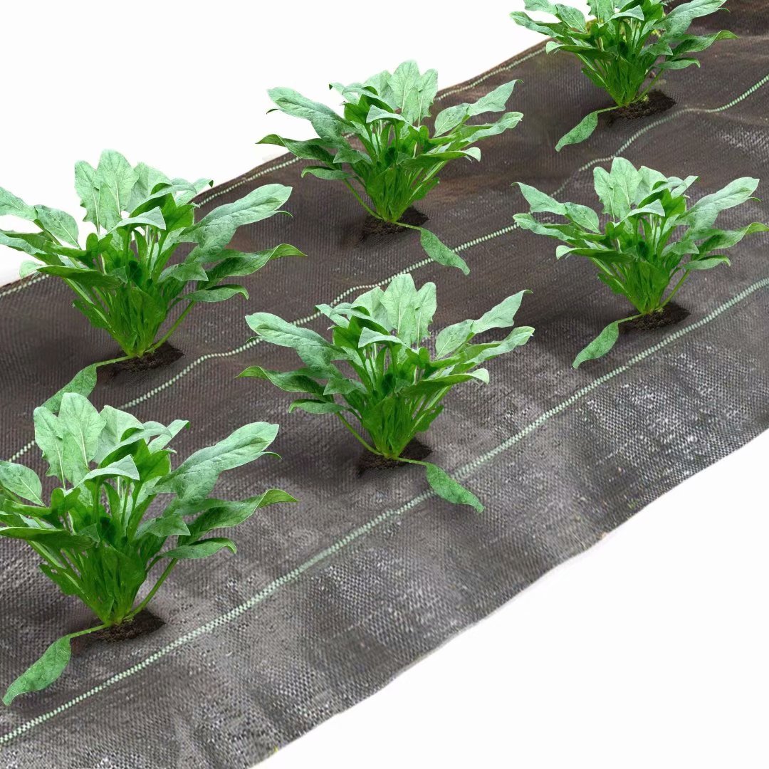 Agfabric Easy-Plant Weed Block for Raised Bed Outdoor Garden Weed Rugs Garden mat for Spinach 3.0oz, 3'x12',with Planting Hole Dia 4"