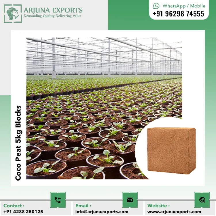 Direct Factory Supply Wholesale Price of Coconut Coco Peat Coir Pith 5kg Block for Blueberry Planting