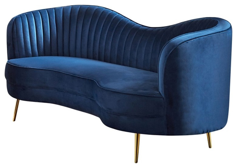 Coaster Sophia 2 Piece Contemporary Velvet Camel Back Sofa Set in Blue   Midcentury   Living Room Furniture Sets   by Homesquare  Houzz