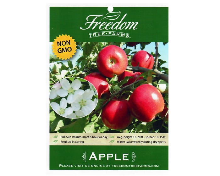 Freedom Tree Farms Pink Lady Apple Tree in 5 Gallon Bucket