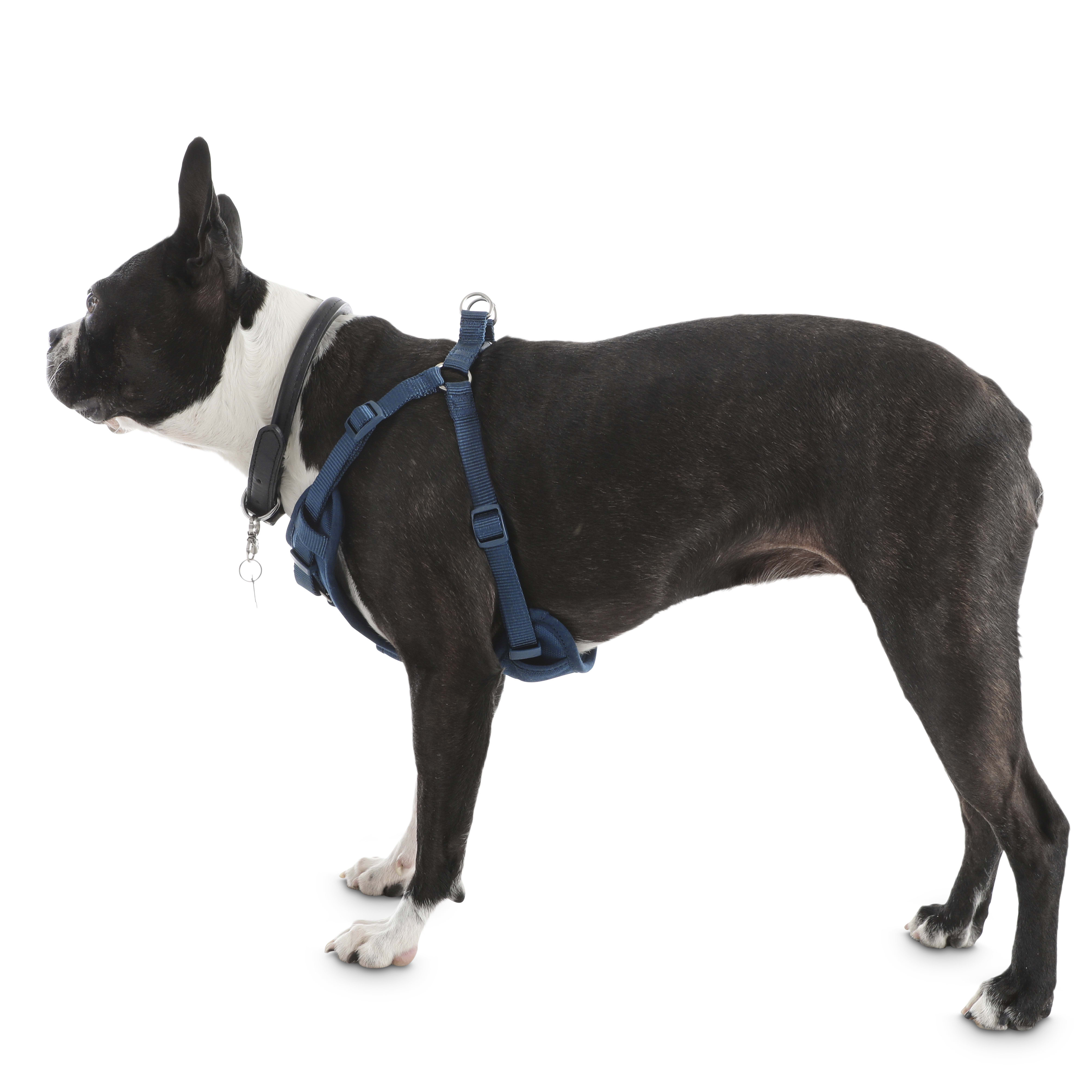 Good2Go Navy Padded Step-In Dog Harness， X-Small