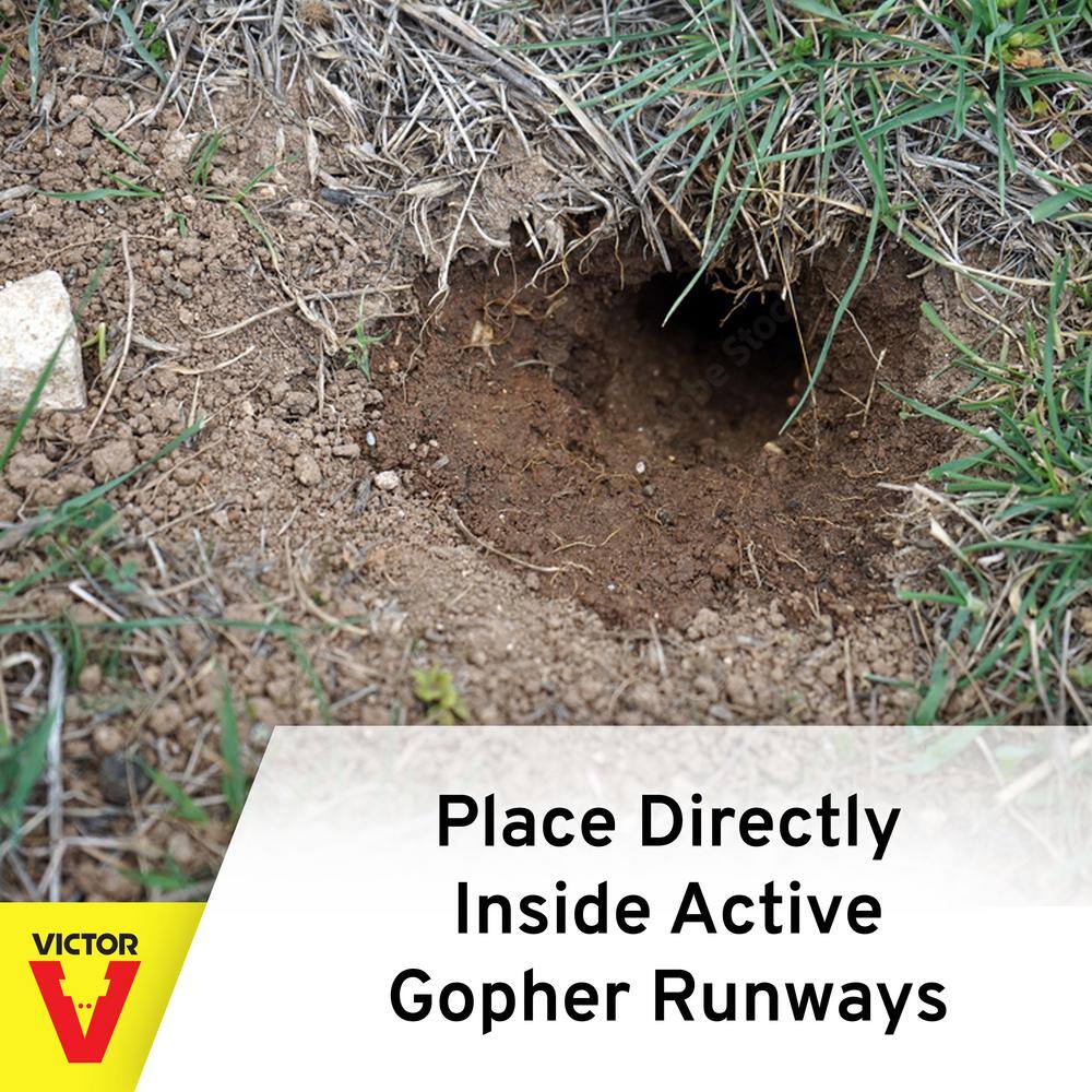 Victor The Black Box Gopher Trap 0626