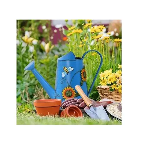 Premium Quality Water Can Best Quality Iron Metal New Design Custom Shape Watering Can For Home Garden Daily Usage