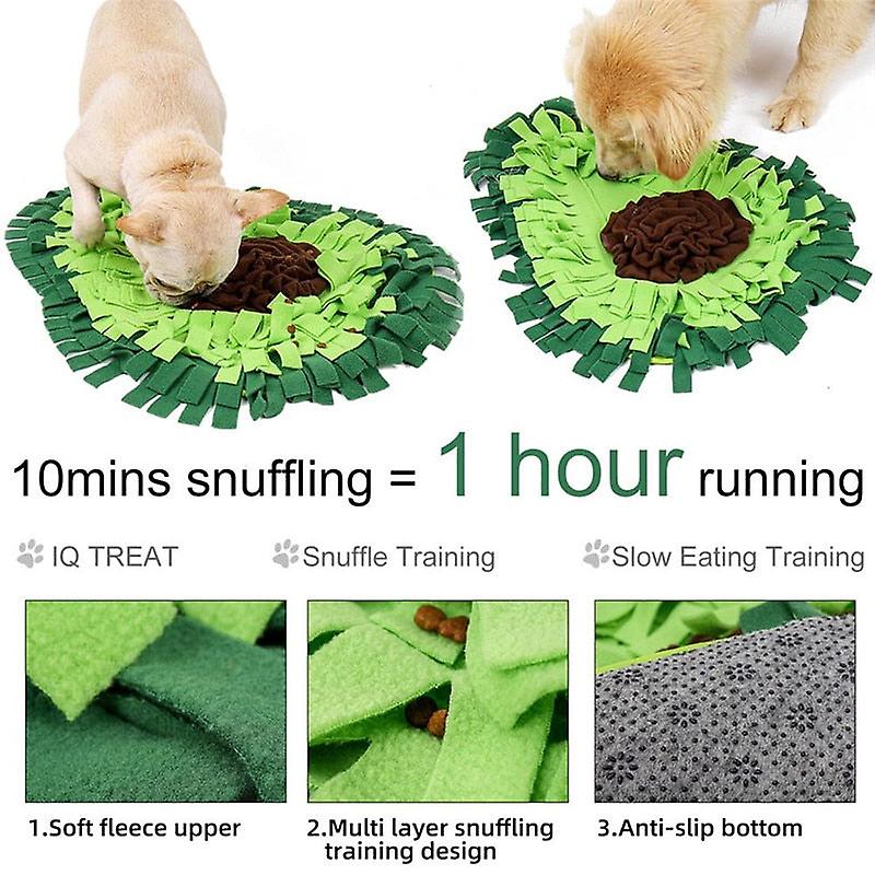 Avocado dog sniffing mat