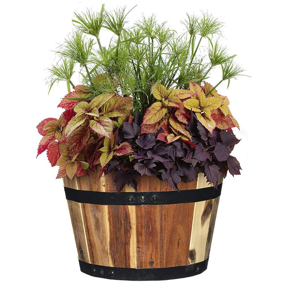 CHG CLASSIC HOME  GARDEN Acacia Wood Barrel Planters (Set of 3) 58003