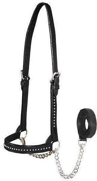 Derby Originals Premium Show Spotted Flat Leather Cattle Show Halter and Chain Lead