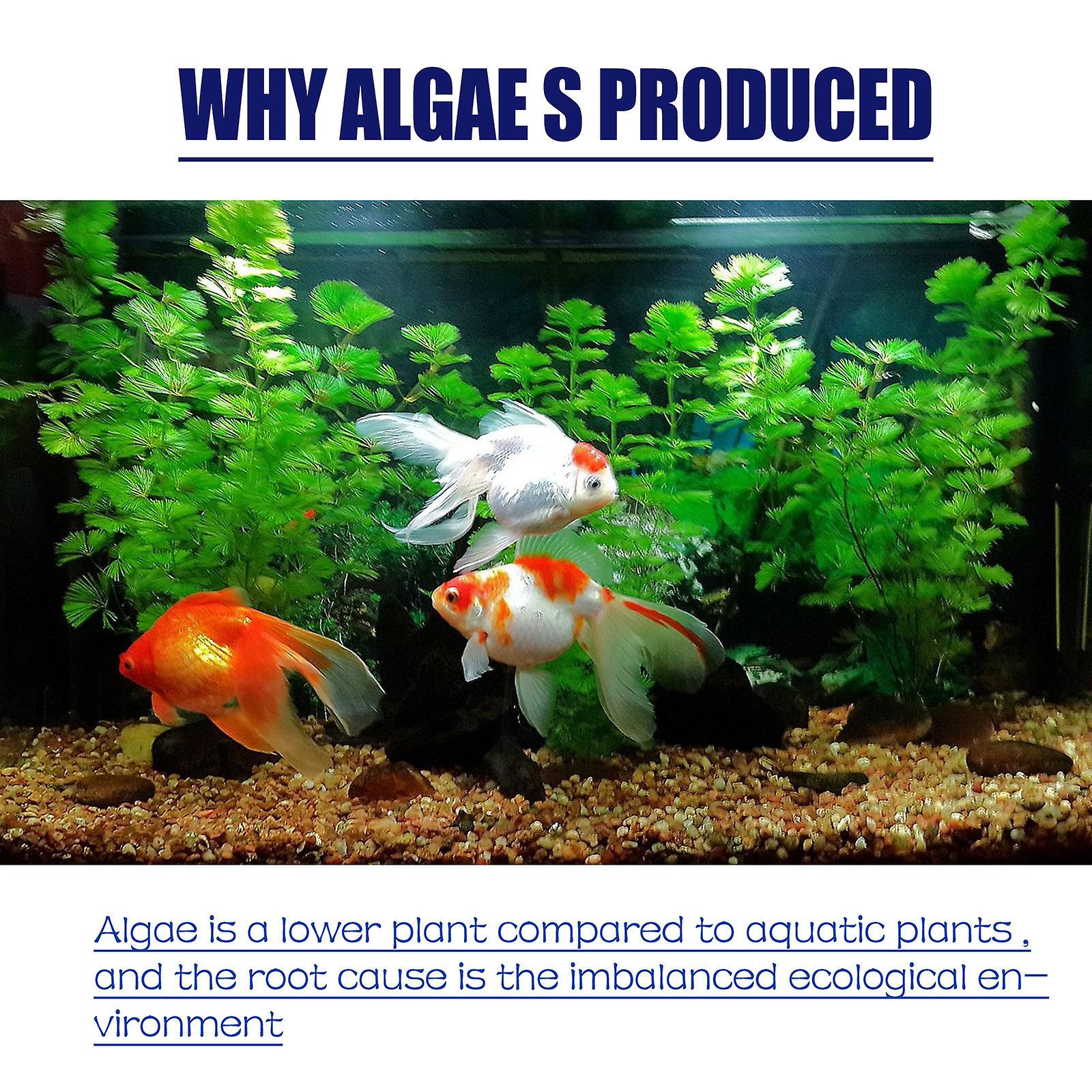 Algaecide: Liverworm Aquarium Algae Removal Potion Moss Removal Agent Fish Tank Algae Removal Agent Green Water