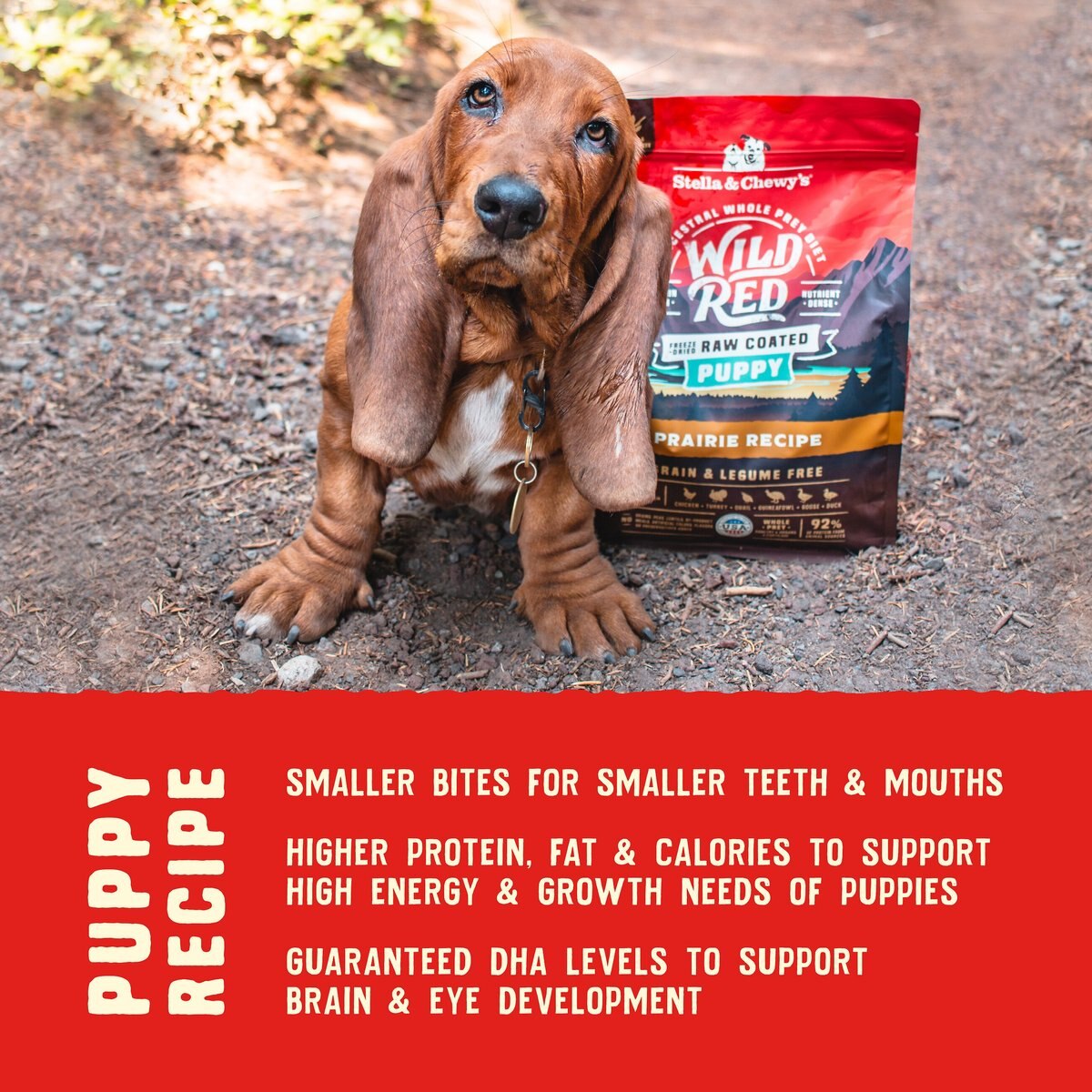 Stella and Chewy's Wild Red Raw Coated Kibble Puppy Grain-Free Prairie Recipe Dry Dog Food