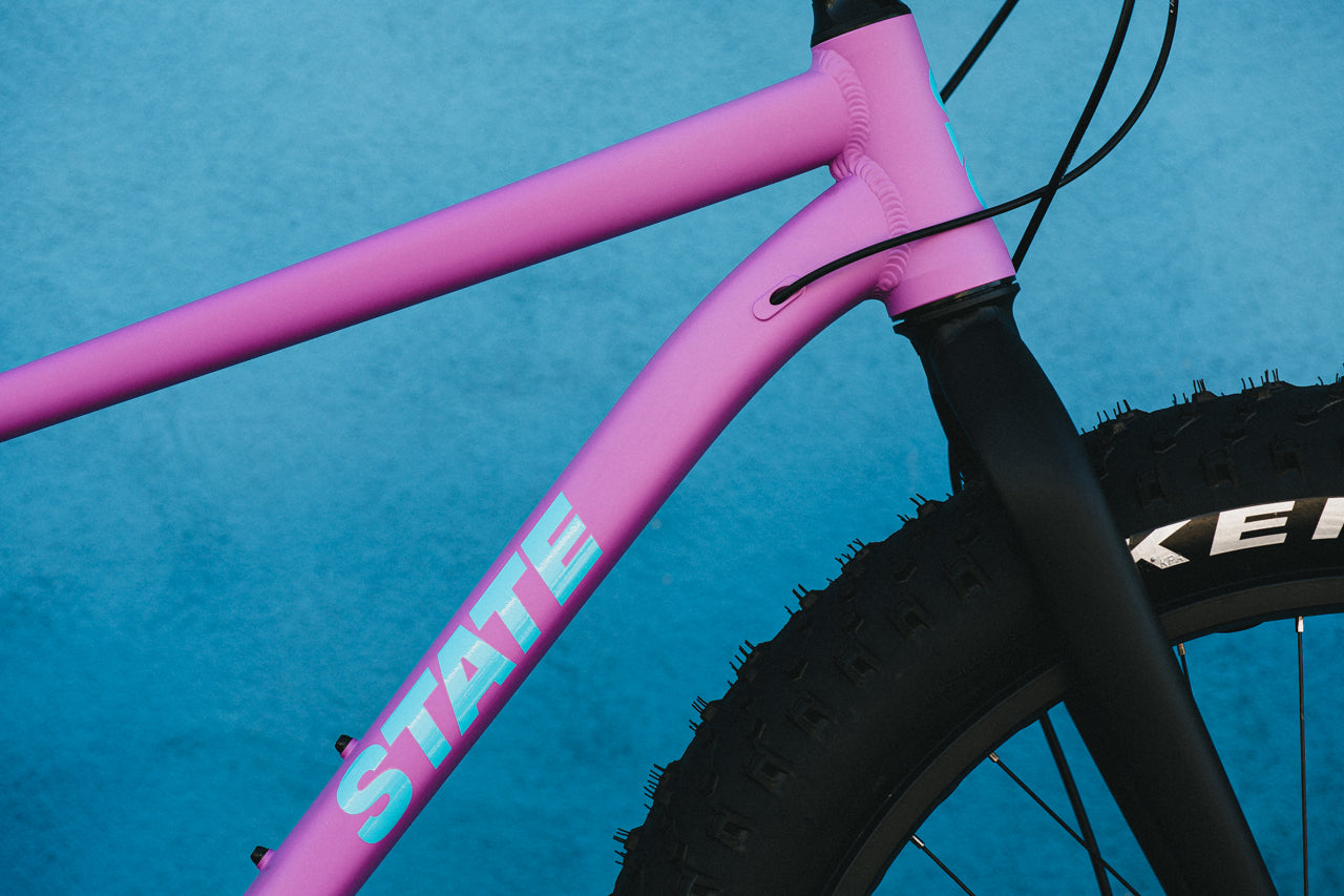 6061 Trail+ Fat Bike - Wildberry