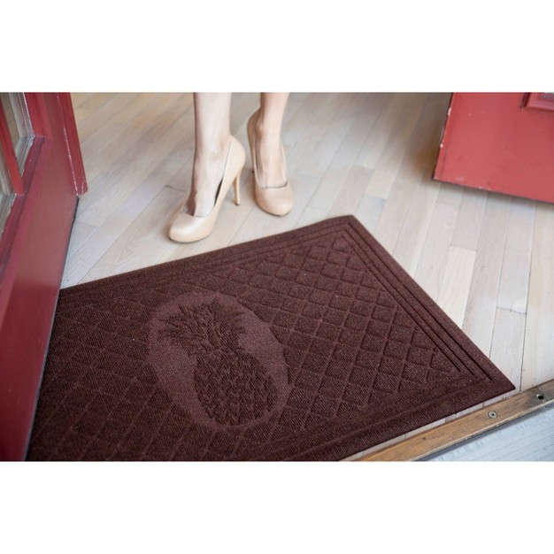 X 3 x27 Pineapple Indoor outdoor Doormat Chocolate Entryways