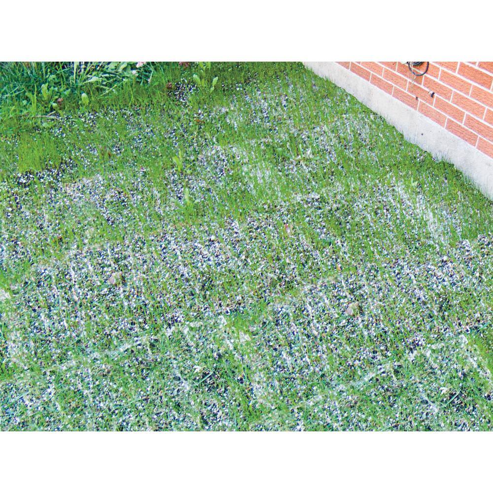 Gardens Alive! 18 in. x 48 in. Turf Alive III Lawn Seed Mat with Rhizomes 2198