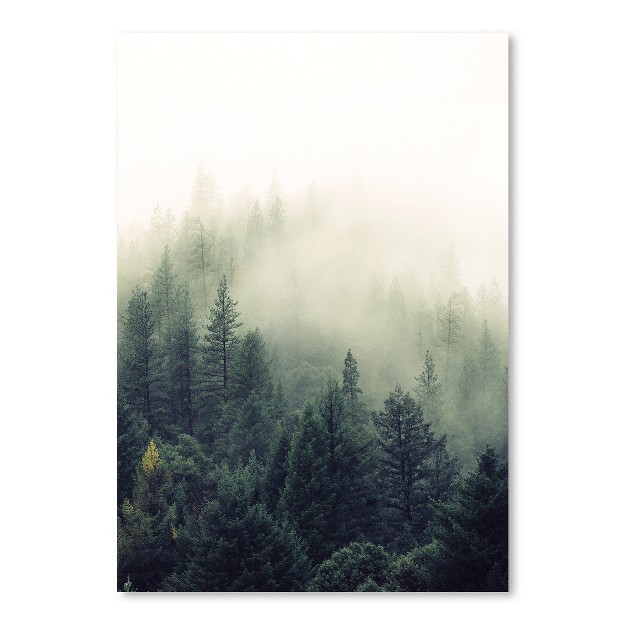 Americanflat Landscape Botanical Forest Greenery By Tanya Shumkina Poster