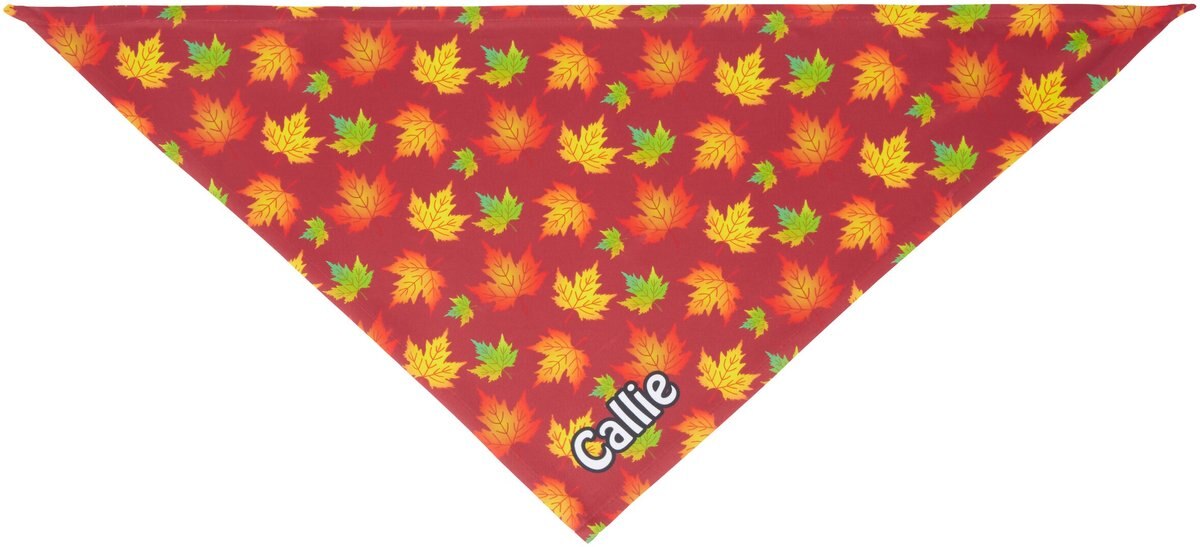 Frisco Fall Leaves Personalized Dog and Cat Bandana