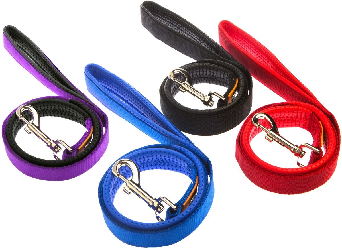 Canny Connect Dog Leash With Lockable Fixed Point Buckle