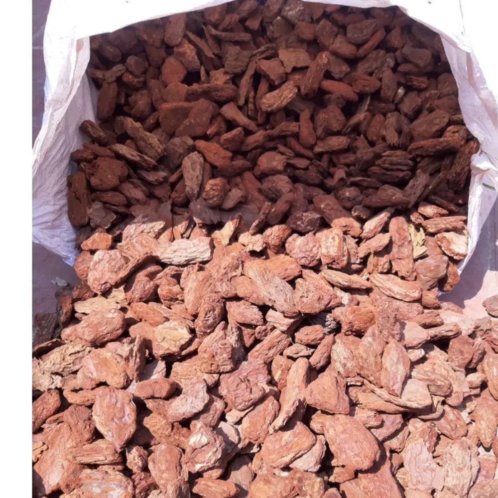 HOT PRICE PINE BARK with customized size from Viet Nam