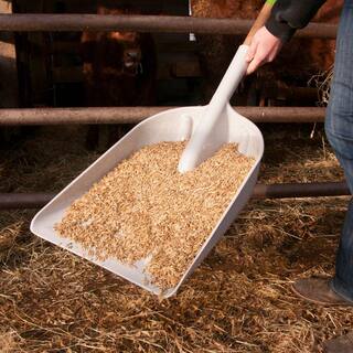 Ames 27.5 in. D-Handle Poly Grain Scoop Shovel 2682700