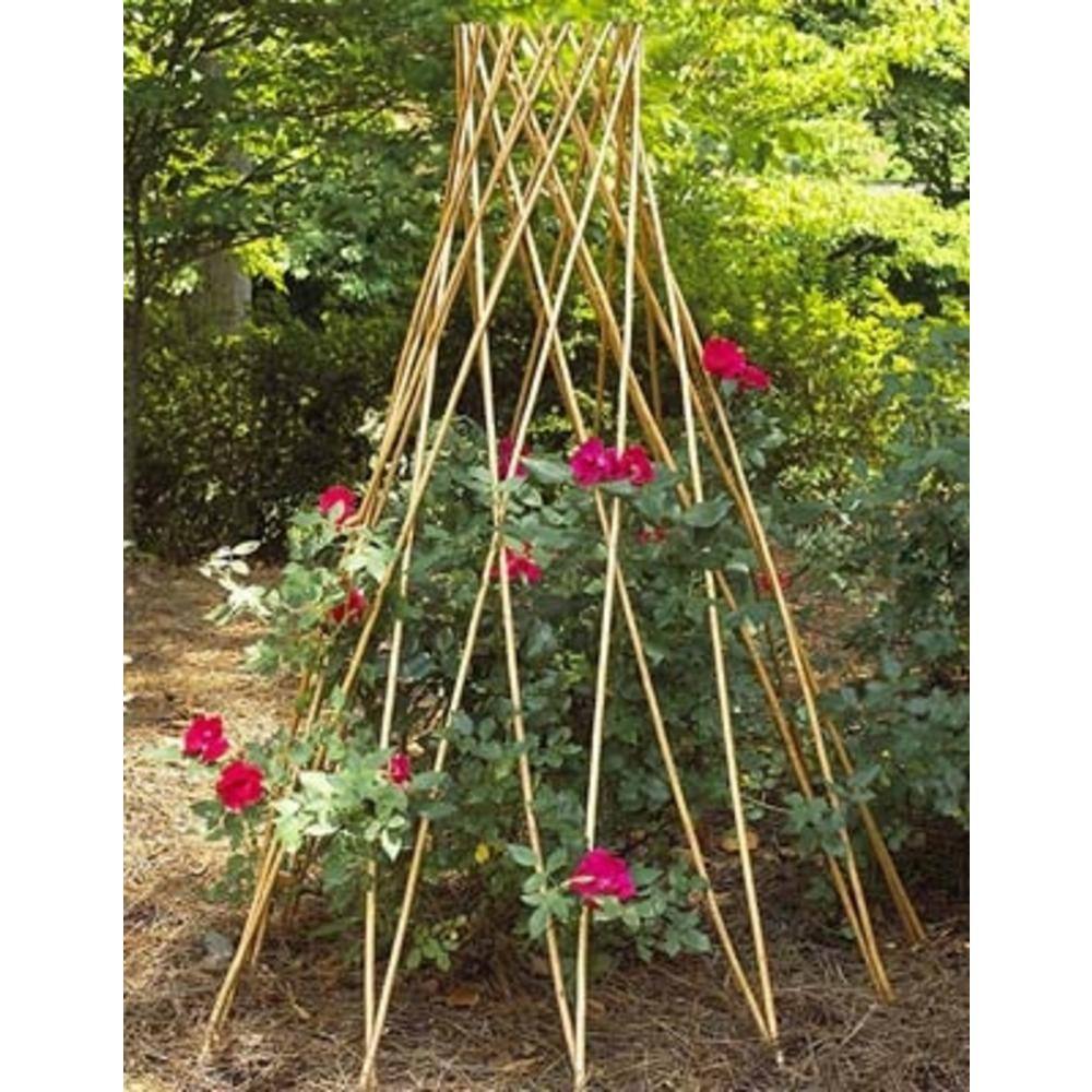 Master Garden Products 60 in. H Carbonized Skinless Peeled Willow Round Tepee Trellis WGT-60CT