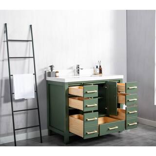 Willow Collections Malibu 48 in. W x 22 in. D x 36 in. H Bath Vanity in Lafayette Green with 2 in. Carrara Quartz Top MLB_LGNCARQZ48S