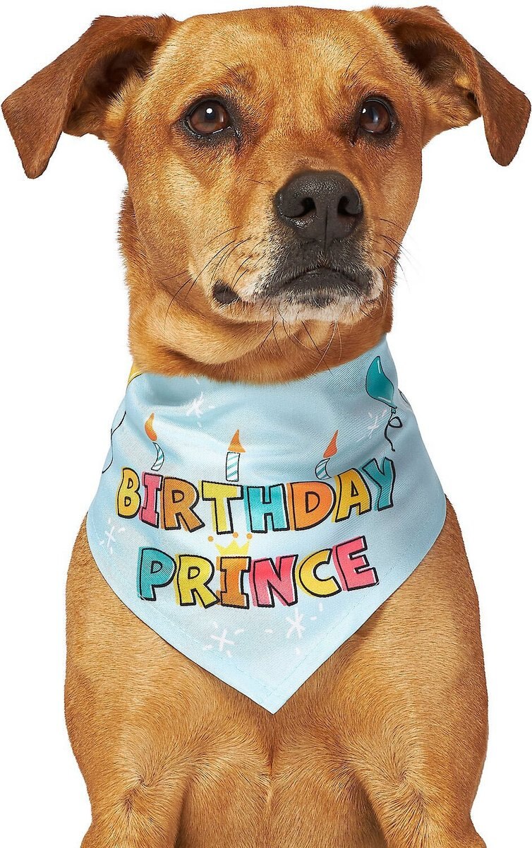 Frisco Birthday Prince Dog and Cat Bandana