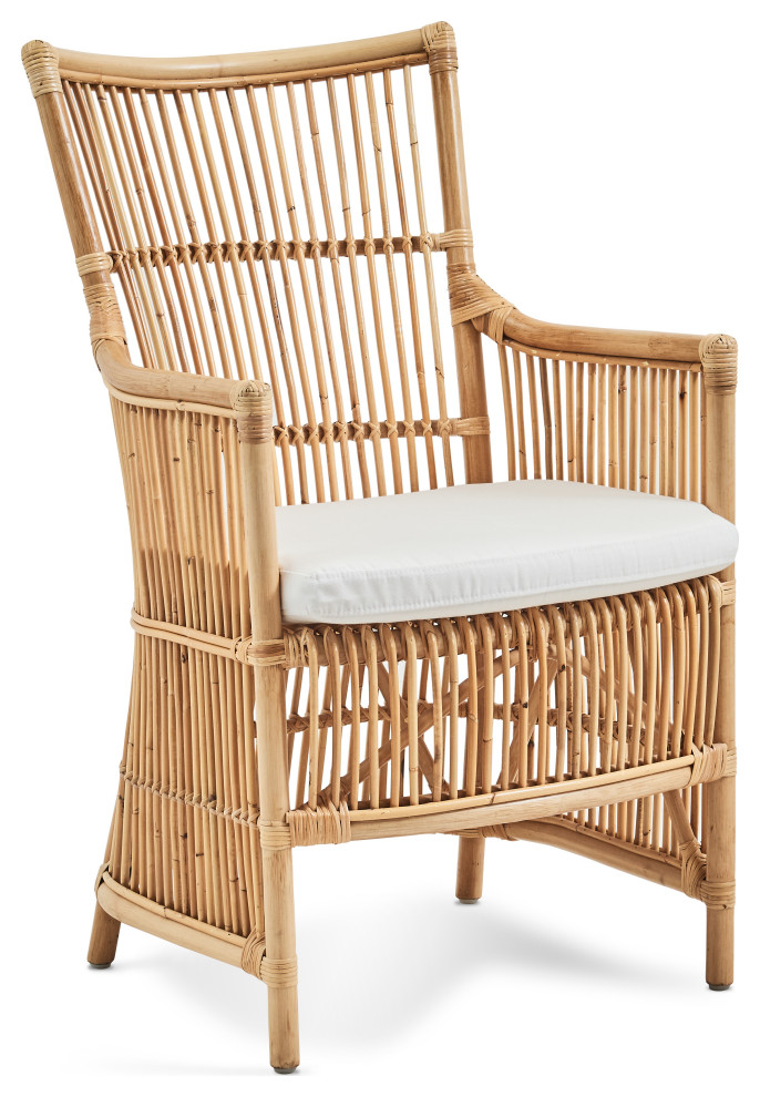 Davinci Rattan Armchair   Natural   Tempotest White Canvas Cushion   Tropical   Dining Chairs   by Sika Design  Houzz