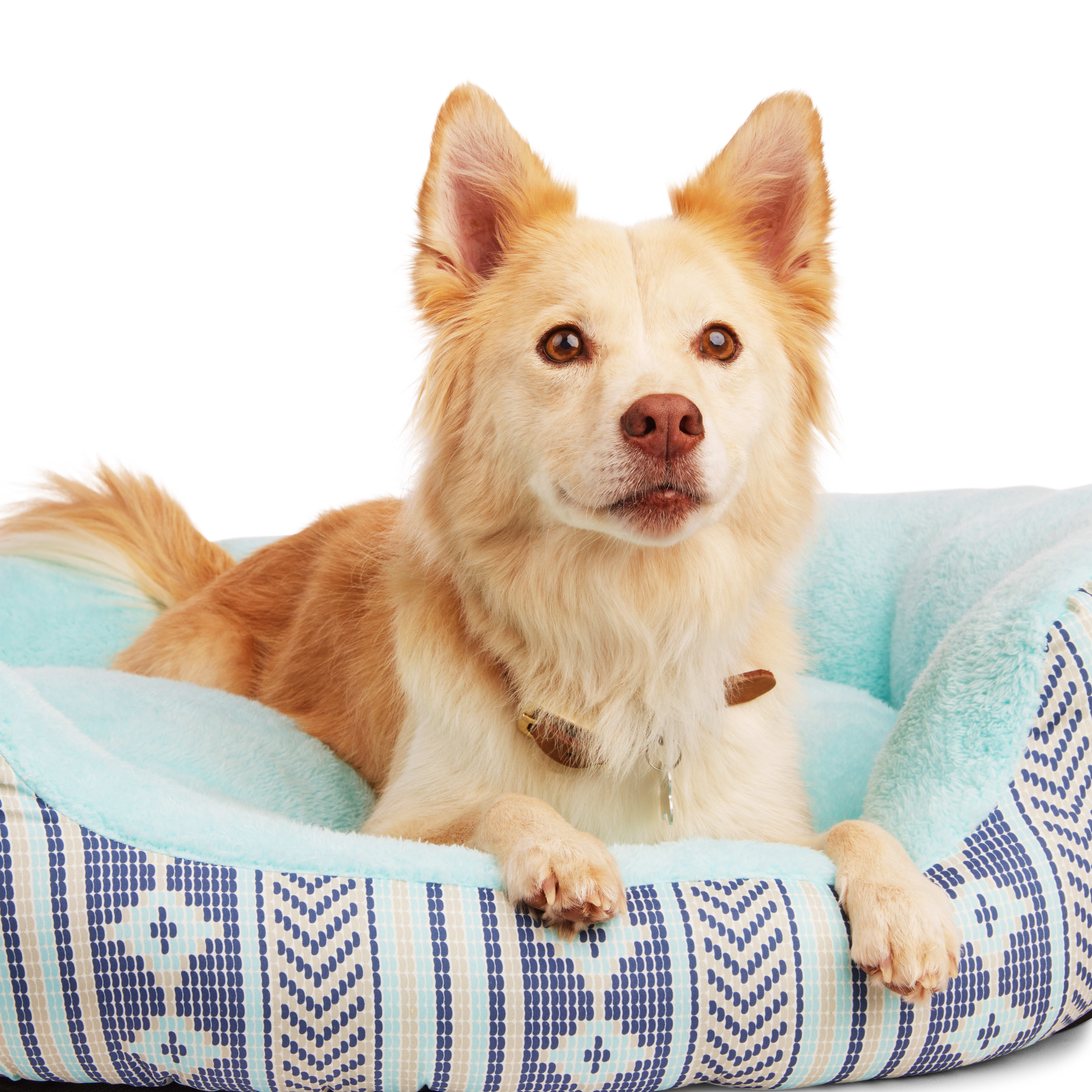 EveryYay Essentials Step In Nester Dog Bed， 36