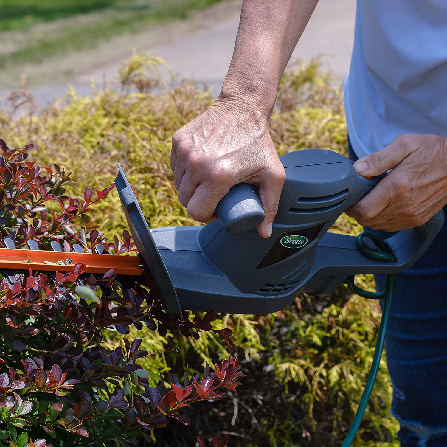 Hedge Trimmer #1