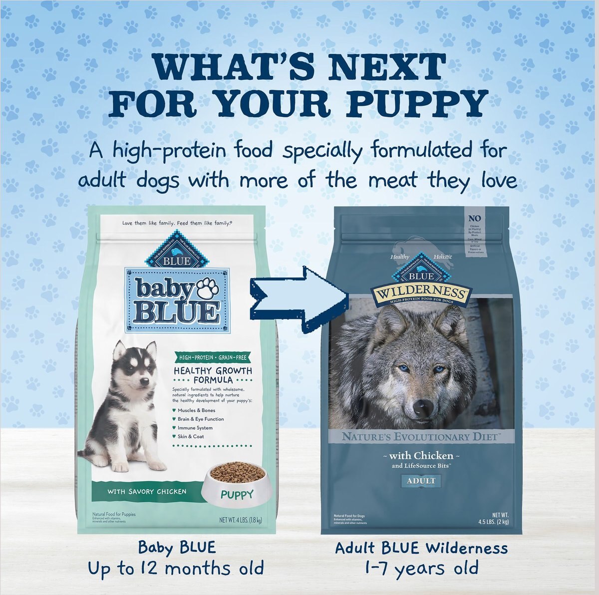 Blue Buffalo High Protein Puppy Chicken Dry Dog Food