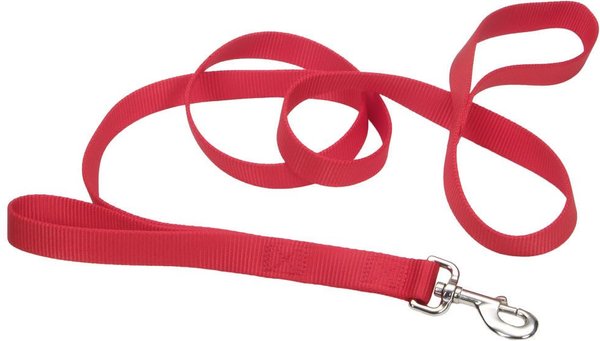 Loops 2 Double Handle Dog Leash