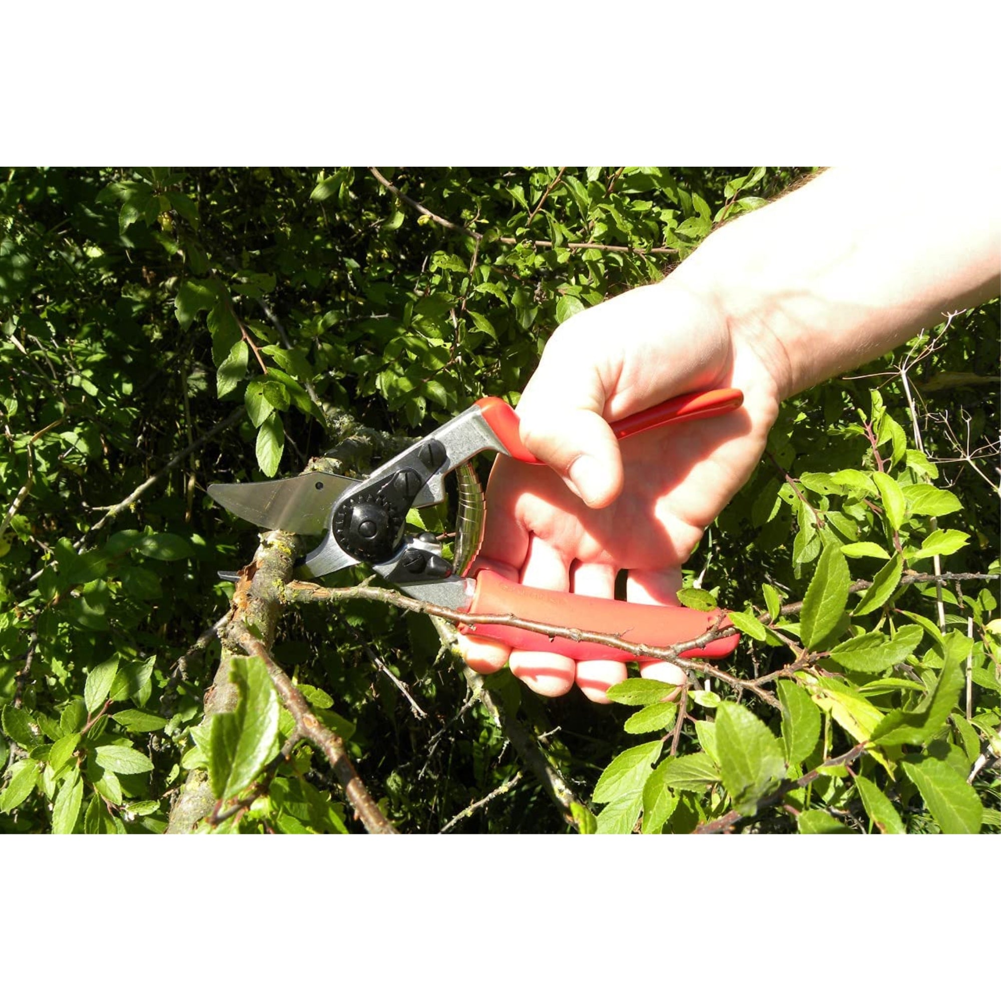 Felco Pruning Shears (F 12) - High Performance Swiss Made One-Hand Garden Pruner with Steel Blade