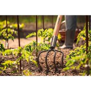 Husky 51 in. L Wood Handle 4-Tine Cultivator 77815-944