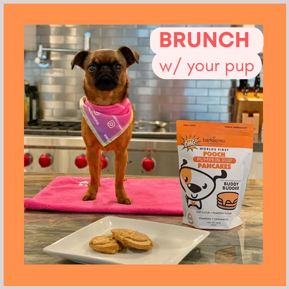 Bark Bistro Company Pooch Pancakes Pumpkin Pup Dog Treat， 14-oz bag