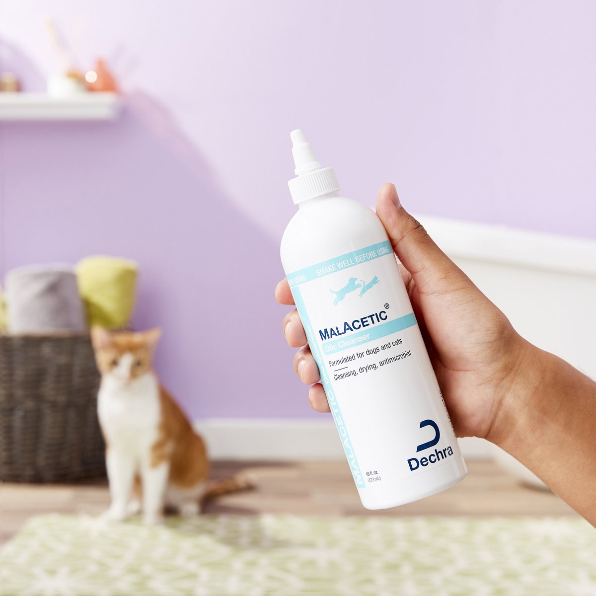 MalAcetic Otic Cleanser for Dogs and Cats