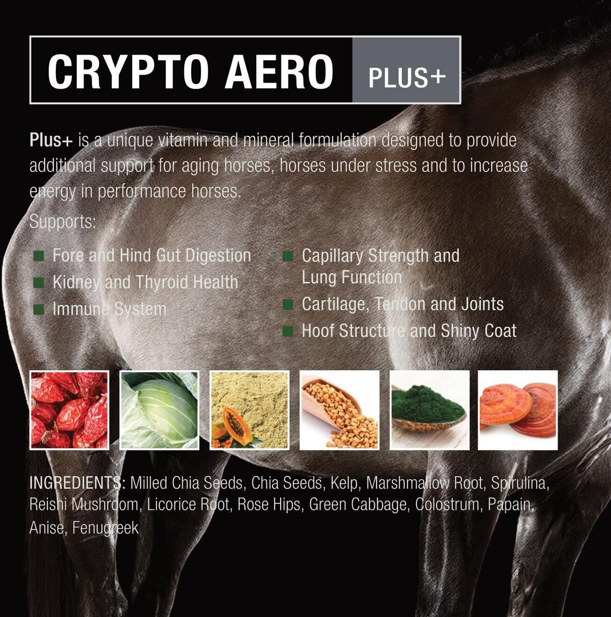 Crypto Aero Plus Comprehensive Powder Horse Supplement