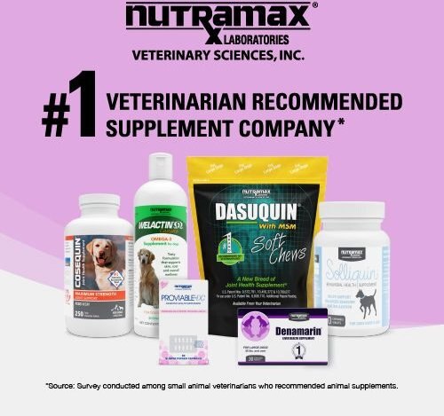 Nutramax Denosyl Tablets Liver and Brain Supplement for Small Dogs and Cats， 30 count