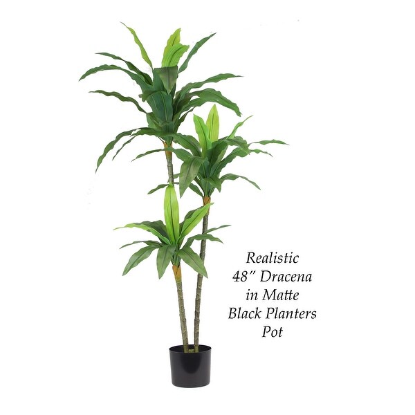 The Mod Greenhouse Artificial Dracaena Plant in Black Matte Planter's Pot