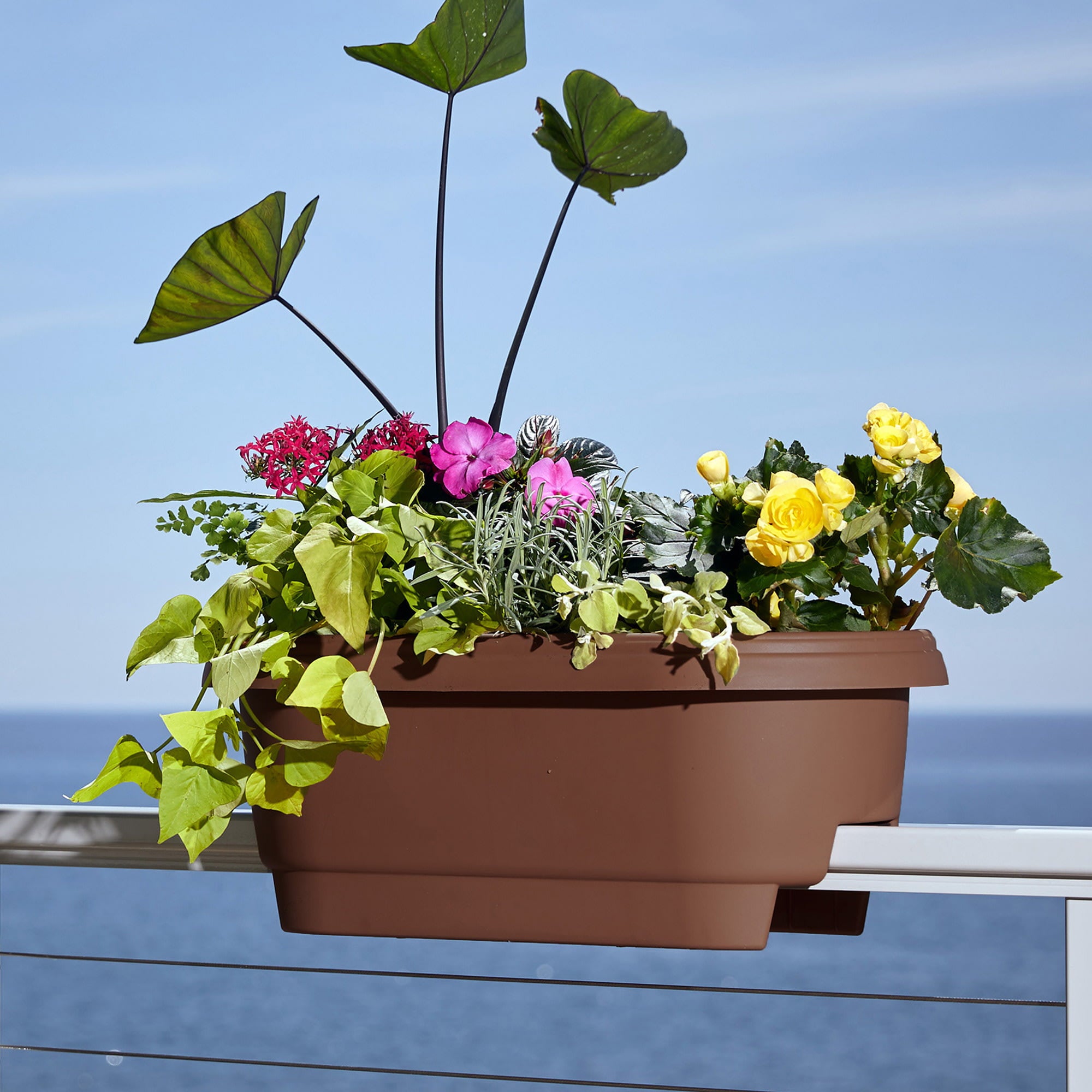 Bloem Modica Deck Rail Round Planter: 24" - Chocolate - Matte Finish, Fits Rail Sizes 4.75"-5.75", Durable Resin Pot, For Indoor and Outdoor Use, Gardening, 4 Gallon Capacity