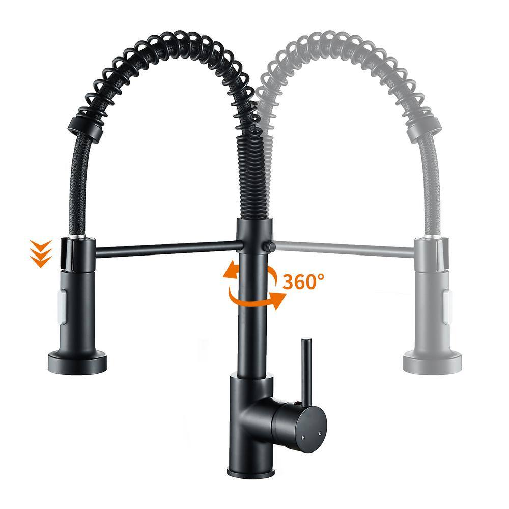 Zalerock Springs Single-Handle Pull-Down Sprayer Kitchen Faucet with Deckplate Included in Matte Black WC05T023