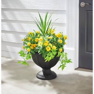 Vigoro 18 in. Warwick Large Black High-Density Resin Urn Planter (18 in. D x 14.7 in. H) HDR-081685