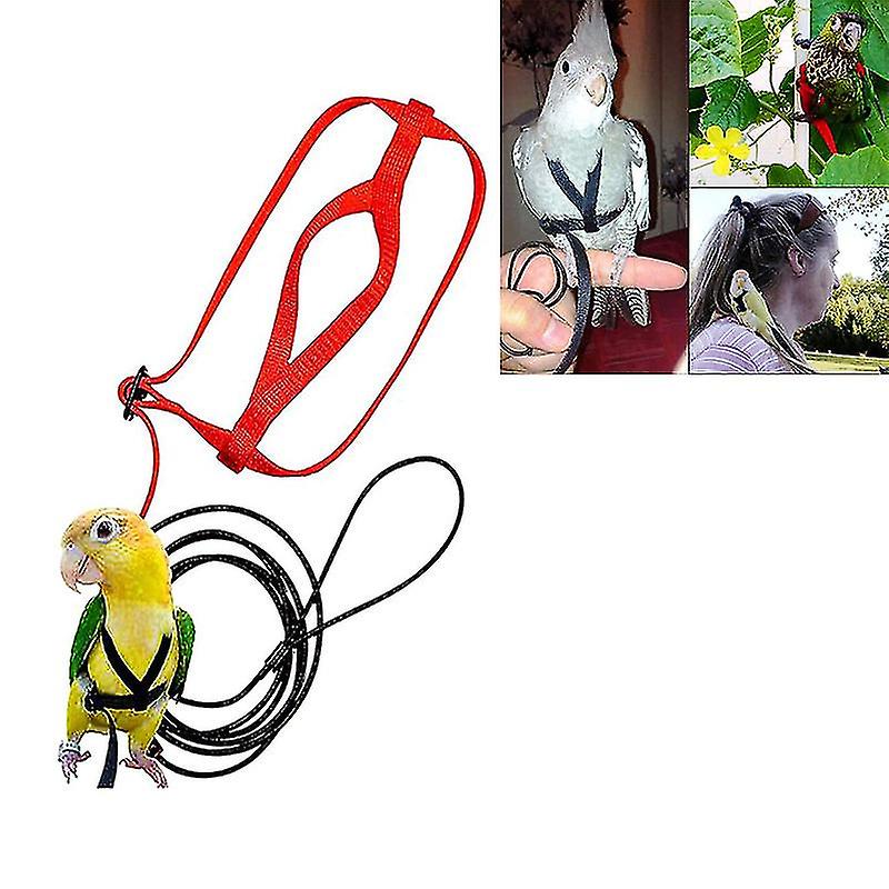 Pet Parrot Bird Harness Leash Adjustable Bird Flying Harness Traction Rope With Cute Wing For Parrots Outdoor Training Toy