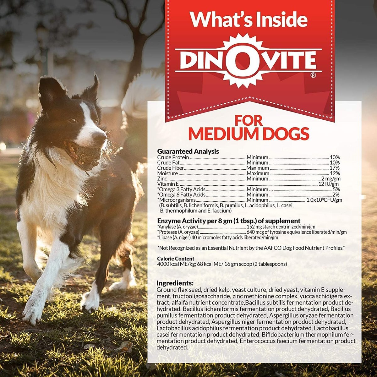 Dinovite Small Dog Supplement