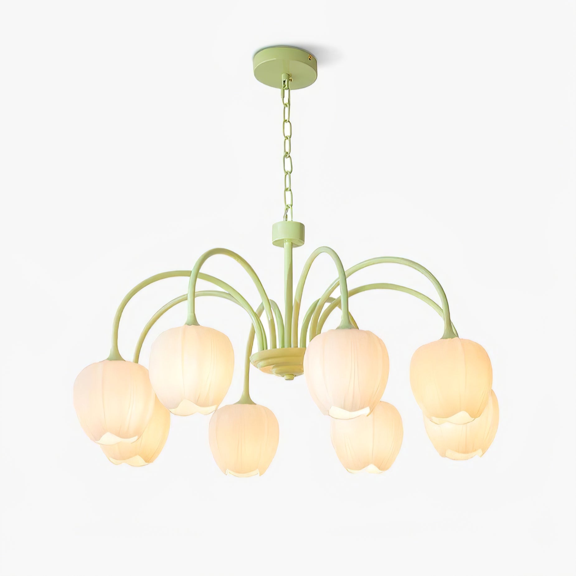 Tulip Matcha Chandelier