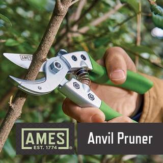 Ames 7.09 in. Pruning Shears Kit with Case (4-Piece) 20213344