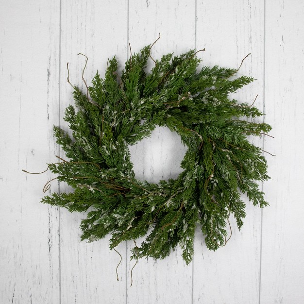 Northlight Iced Cedar Artificial Christmas Wreath 24 inch Unlit