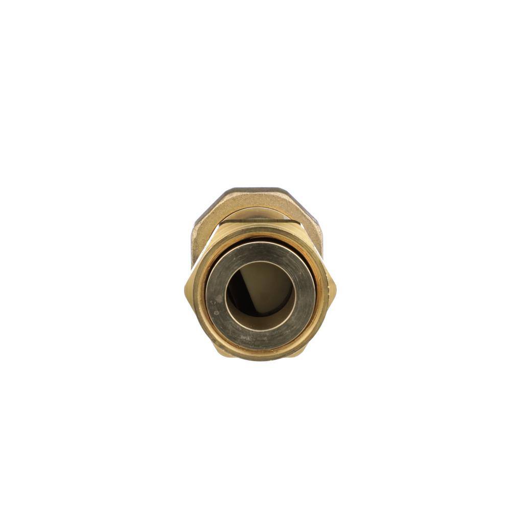 Watts 1 in. Lead-Free Brass MPT Dual Check Valve LF7U2-2  1