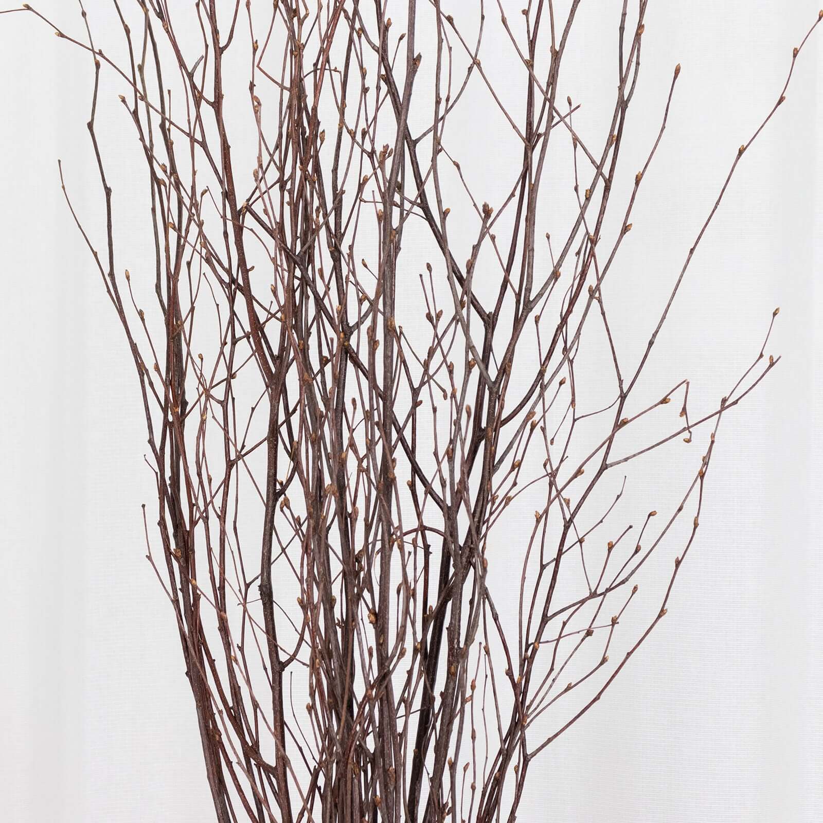 6 Pack Natural Decorative Birch Tree Branches, Extra Long Natural Dried Willow Twigs Sticks Vase Fillers - 46