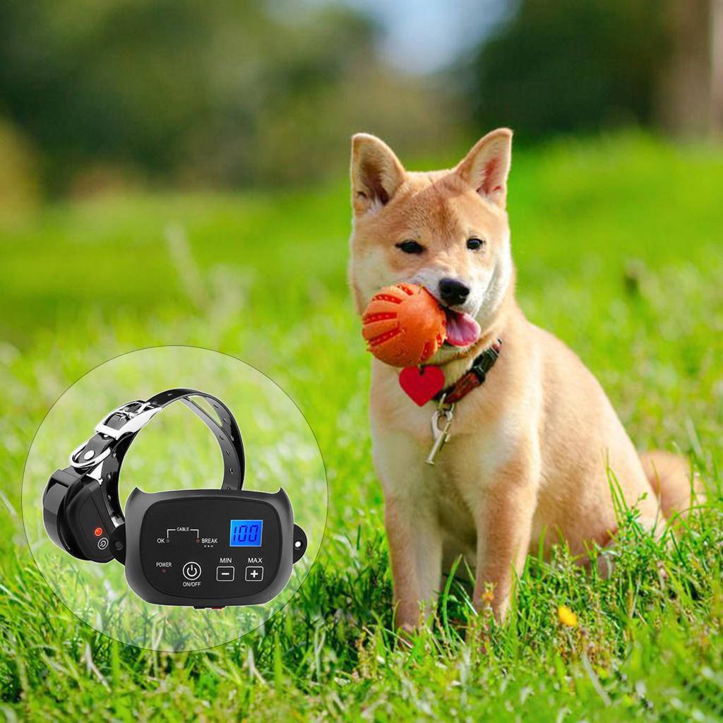 wireless fence，wireless fence system training collar outdoor，electric for dogs pet containment electronic，shock flags rechargeable run collars invisible，cat fences the yard perimeter