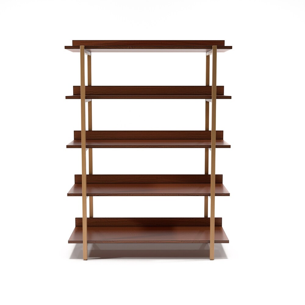 Bizi Contemporary Metal 5 Tier Display Shelf by Furniture of America