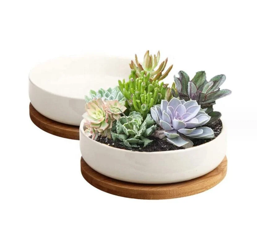 W925 Wholesale Succulent Pots Cactus Oval 6 inch White Ceramic Flower Planter Pot with Bamboo Tray Pack of 2 Set