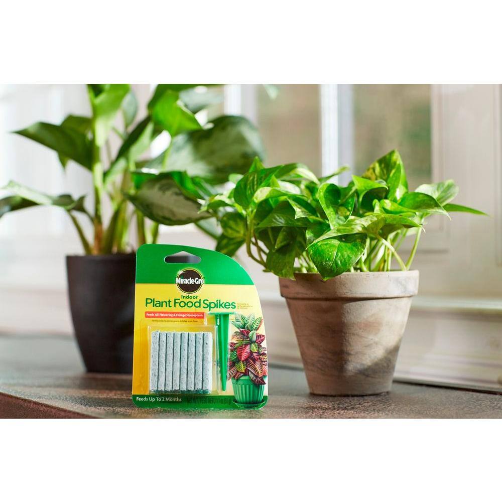 Miracle-Gro Indoor Plant Food Spikes 1002521